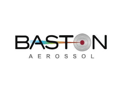 BASTON-removebg-preview